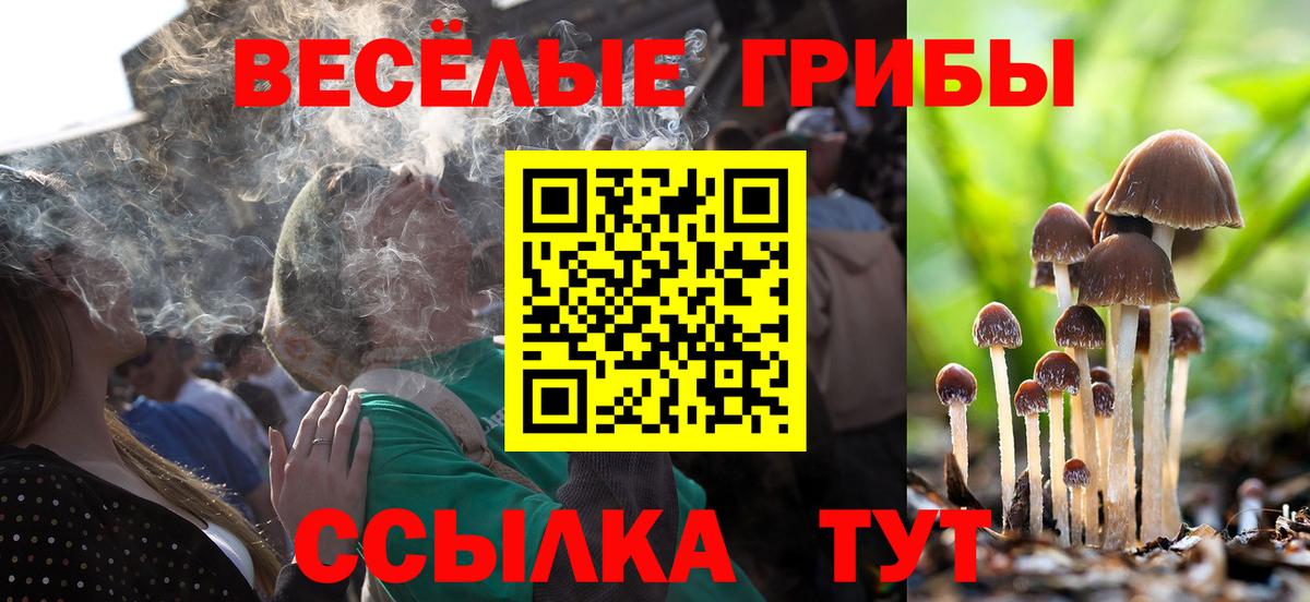 Переславль-Залесский  Псилоцибиновые грибы GOLDEN TEACHER  Вход с VPN 