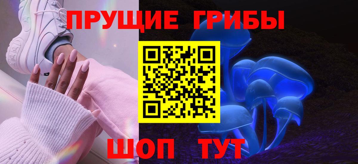 Псилоцибиновые грибы Psilocybe Переславль-Залесский